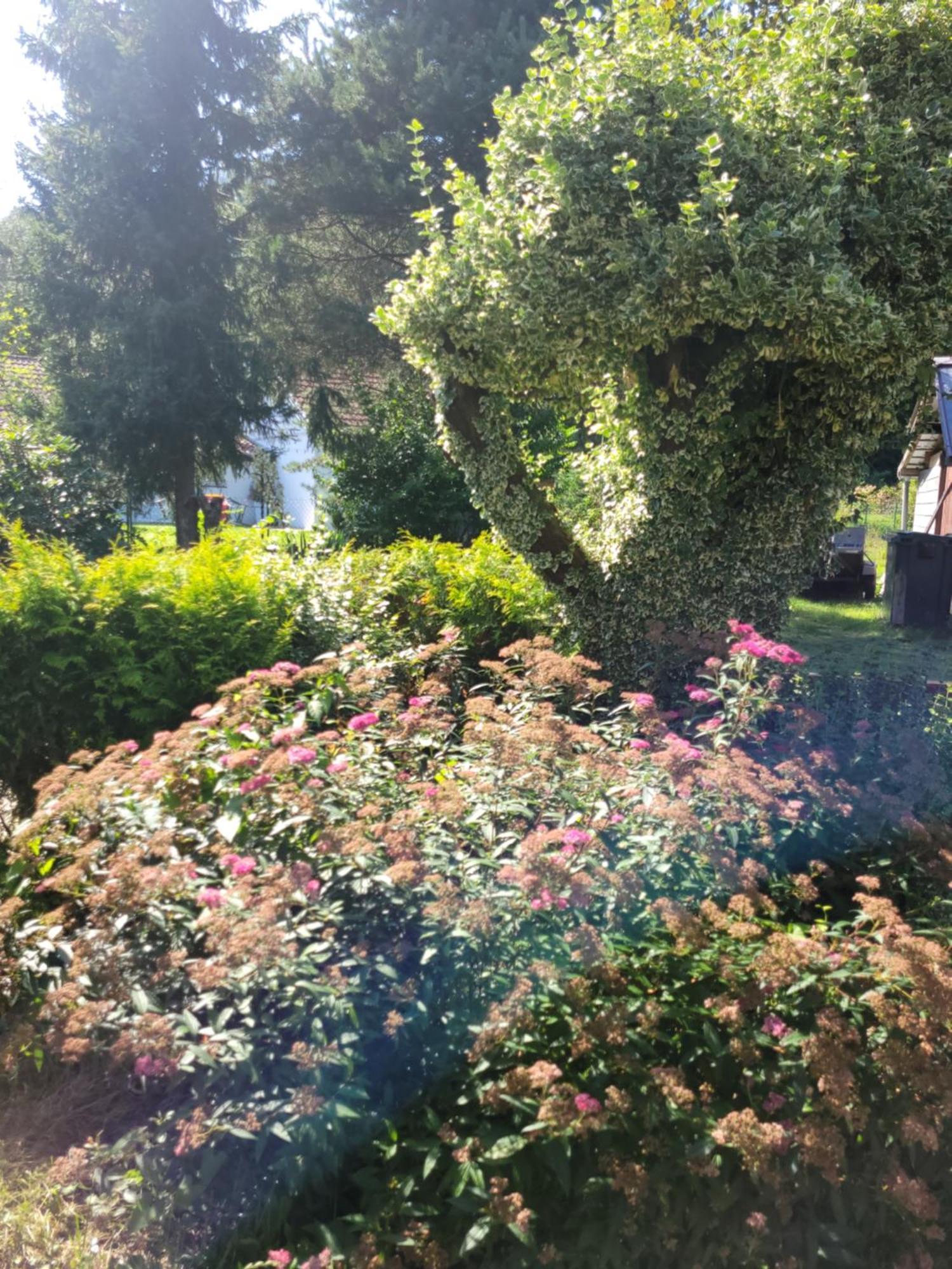 Gites Les Grandes Voies - Cle Vacances Le Ménil Exterior foto